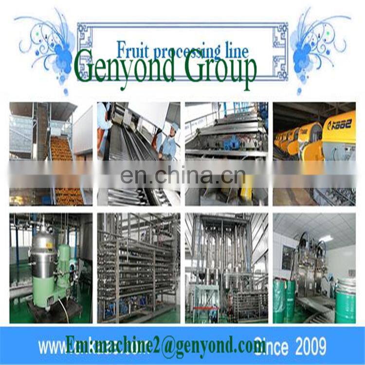 Full Automatic Fruit Bar Processing Line