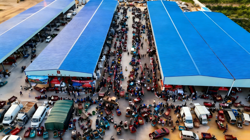 板栗图片生成 (4)