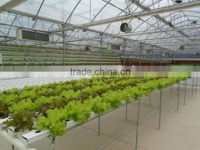 Trinog-xs (Xiamen) Greenhouse Tech Co., Ltd. company overview - view 4