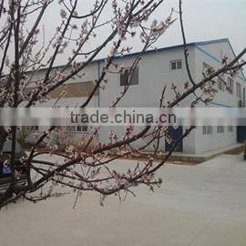 Qinhuangdao Yaoxing Aids To Navigation Technology Co., Ltd. company overview - view 3