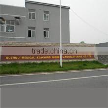 Suzhou Medical Teaching Model Co., Ltd. company overview - view 2