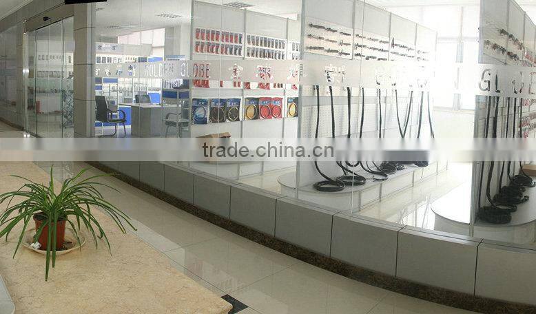 Changzhou Asia Science & Technology Co., Ltd. company overview - view 3