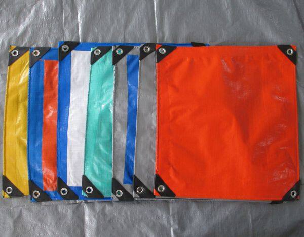 Linyi Shangheng Plastics Co.,ltd company overview - view 1