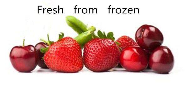 Small Quick Spiral Best Iqf Spiral Tunnel Chiller and Blast Freezing Freezer Fridge Machine Equipment for Food Ice Cream Cost