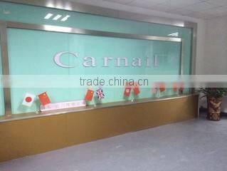 Guangzhou Carnail Electronic Technology Co., Ltd. company overview - view 1