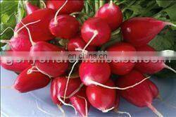 high quality industrial potato/radish/carrot peeling machine
