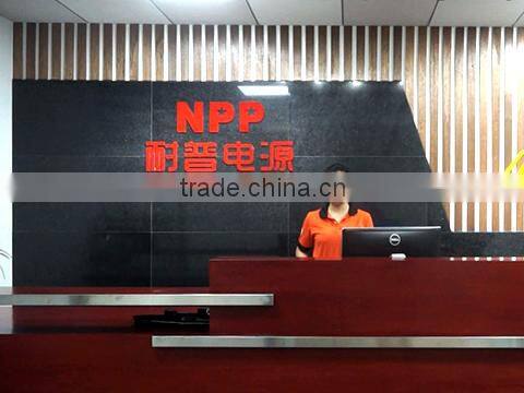 Guangzhou NPP Power Co., Ltd. company overview - view 1