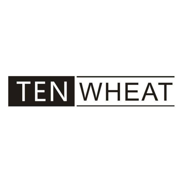 Guangzhou TenWheat Musical Instrument Co.,Ltd company overview - view 1