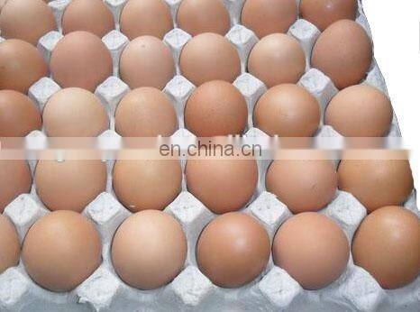 Automatic production line egg tray manufacturing machine