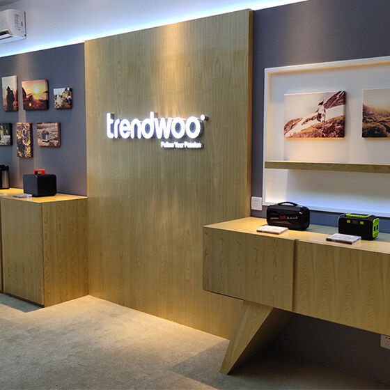 Shenzhen Trendwoo Tech. Co., Ltd. company overview - view 1