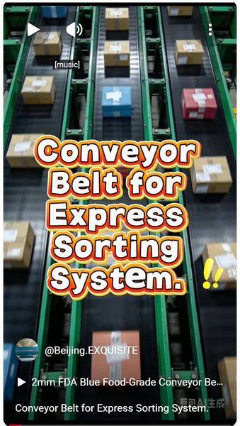 Conveyor Belt for Express Sorting System