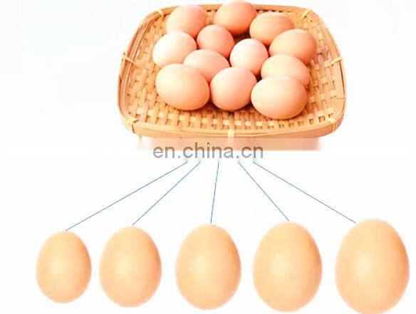 Shanghai factory industrial egg grading processing machine/egg sorter sorting machine/egg grader equipment for sale