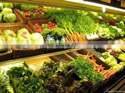 vegetable washing machine