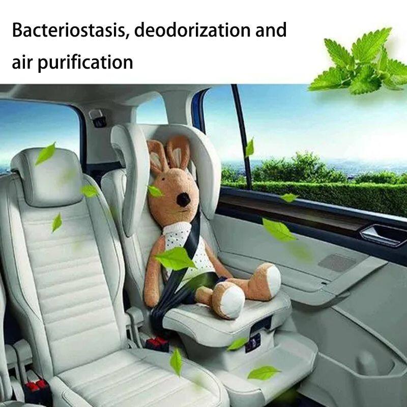 車內(nèi)除異味 (5)