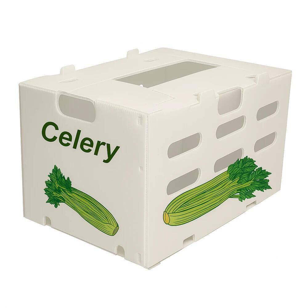 1_590_119490_1000_1000