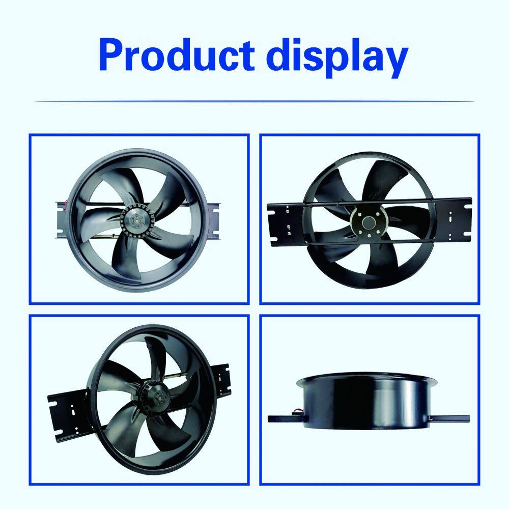 1D產(chǎn)品展示2(英文)