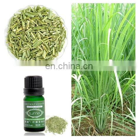 Factory Genyond Mint Essential Oil Distiller Distillation Equipment Extractor Extracting Machine