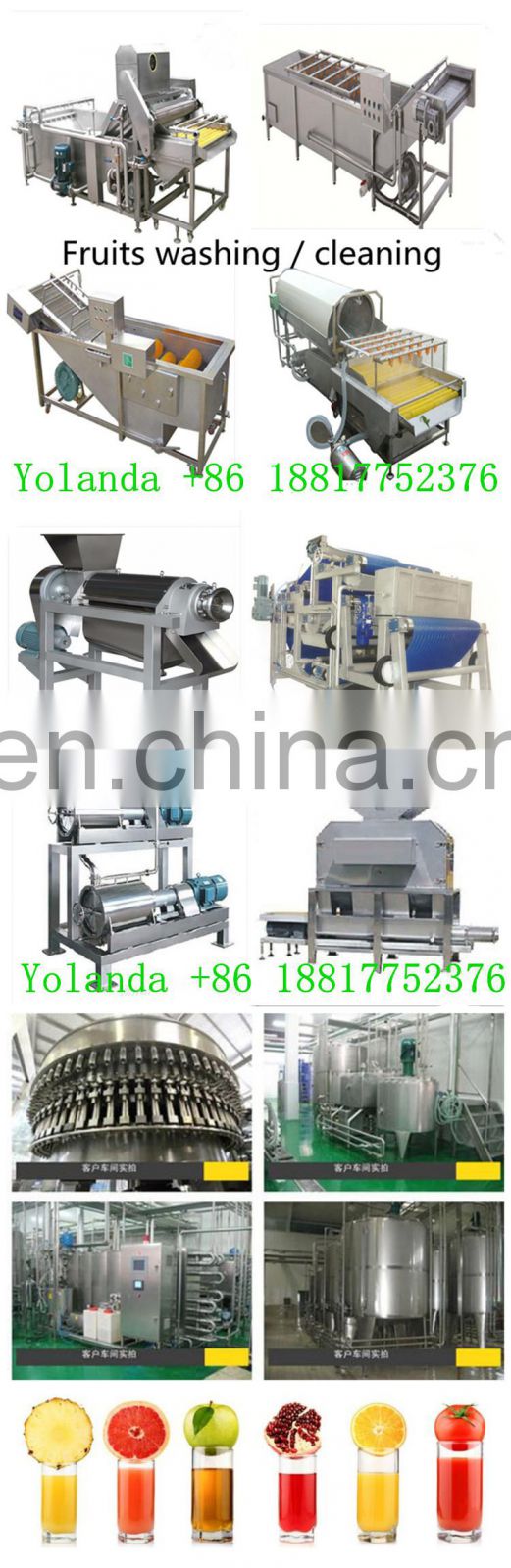 commercial roxburgh rose juice concentrate processing line