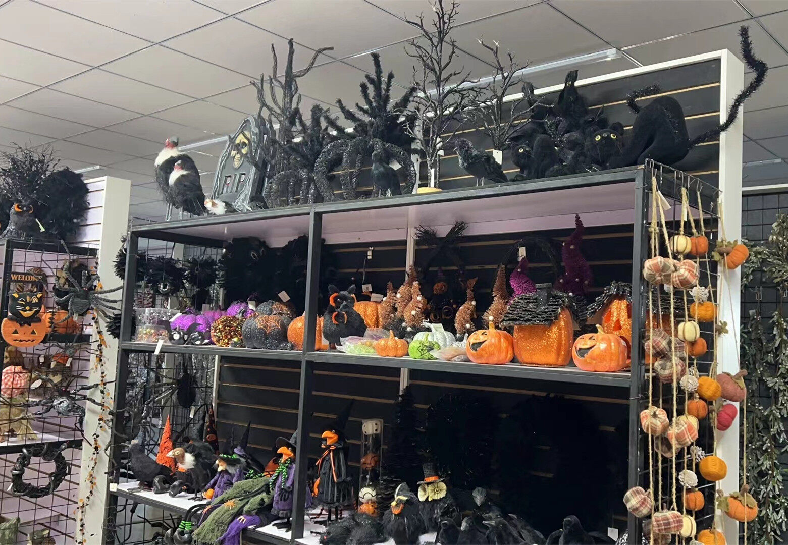 Shenyang For Star IMP & EXP CO.,LTD company overview - view 4