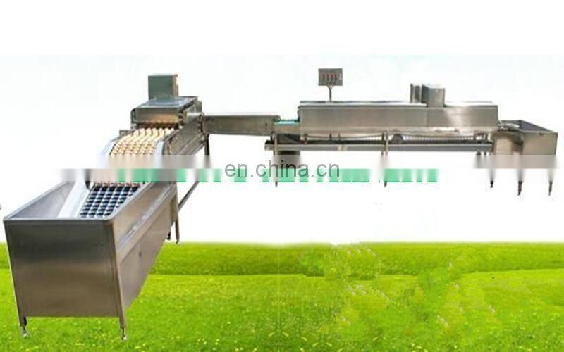 Brand new automatic egg sorting machine