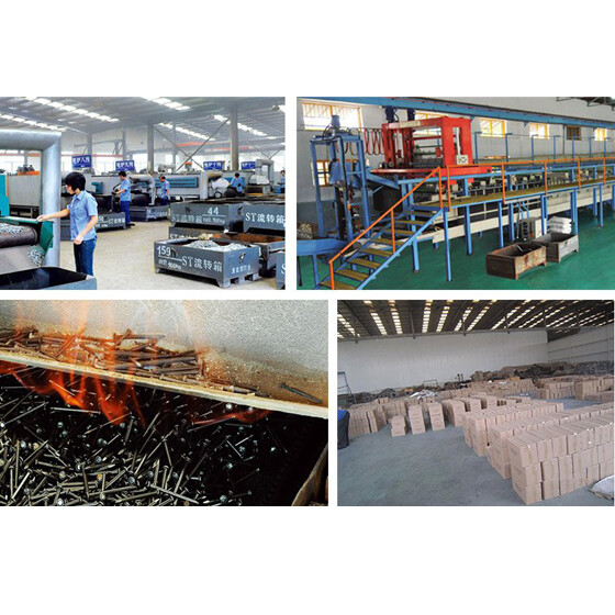 China Qsource Trading Co., Limited company overview - view 1