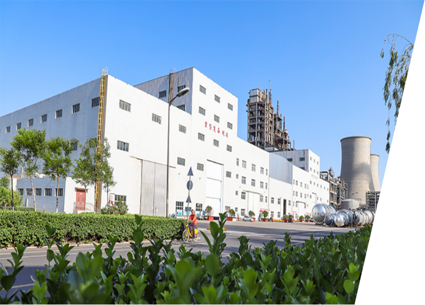 Sinochem Luxi Engineering Co.,ltd company overview - view 4