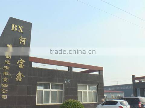 Hebei Baoxin Bearing Manufacturing Co., Ltd. company overview - view 1