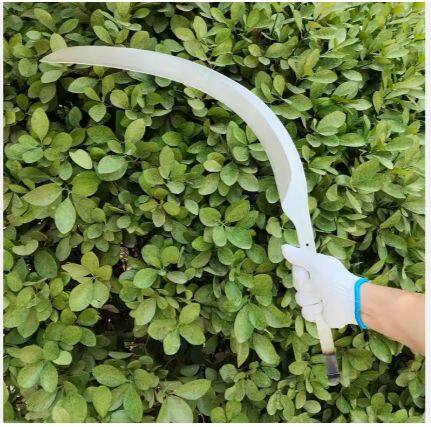 微信截图_20250623090453