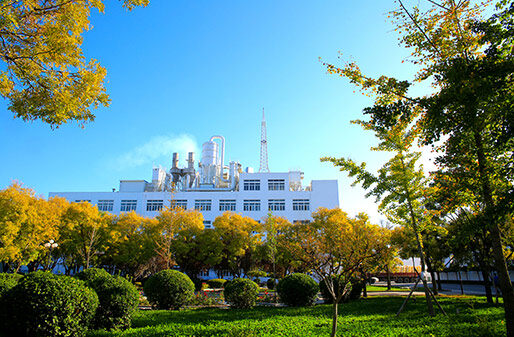 Topseller Chemicals Co.,ltd company overview - view 1