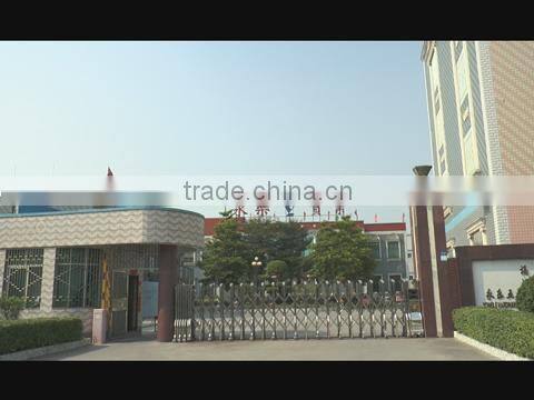 Jieyang City Yongle Hardware Electric Appliances Plant Company Limited company overview - view 1