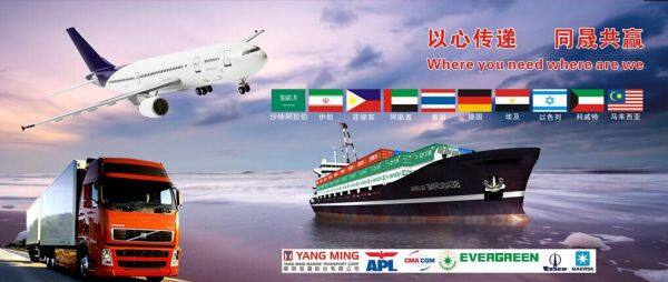 Guangzhou TC International Shipping Co., Limited company overview - view 1