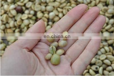 high efficiency manual coffee husk peeling machine/coffee bean sheller/cacao bean peeler for sale