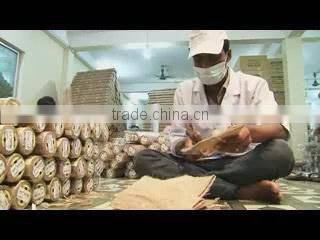 DIAMOND JUTE DIVERSIFICATION & CO. company overview - view 1