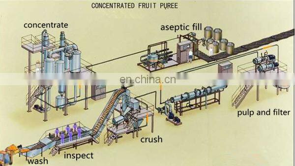 Fruit Jam Production Line From China