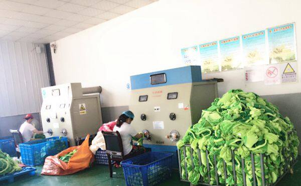 Kangsen Art & Craft Co., Ltd company overview - view 3