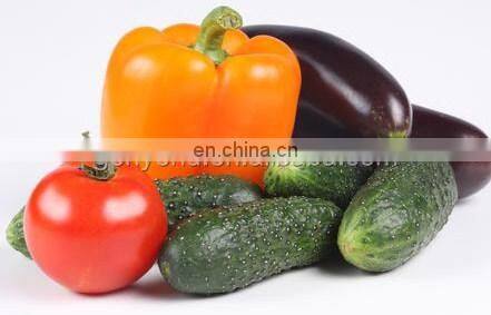 vegetable washing machine