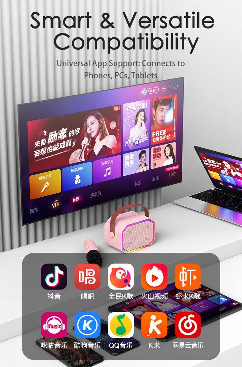 Ktv portable microphone outdoor subwoofer bloutooth karaoke party boombox karoke speaker with mic