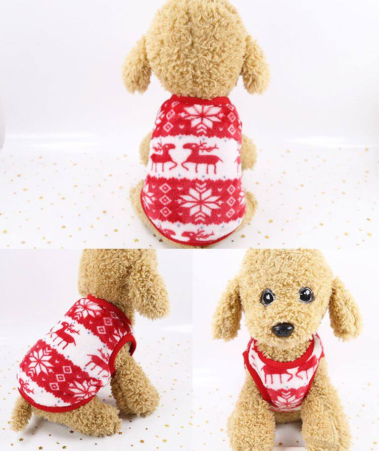 Clothes for Small Dogs