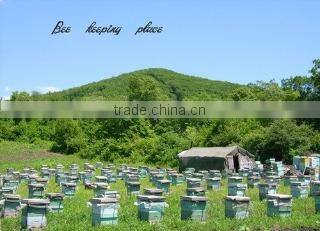 Changge City Shengda Apiculture Limited By Share company overview - view 2