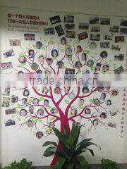 Guangdong BaiHua Science And Technology Co., Ltd. company overview - view 2