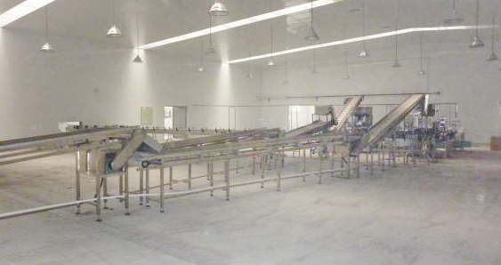 Canned Red Beans Mung Beans Green Peas Production Line