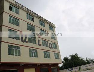 Guangzhou QLQ Enterprise Co., Ltd. company overview - view 1