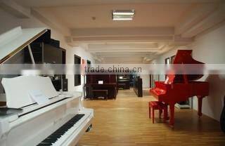 Hangzhou Start Musical Instrument Co., Ltd. company overview - view 3
