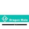 Ningbo Dragon Male Electric Co., Ltd.
