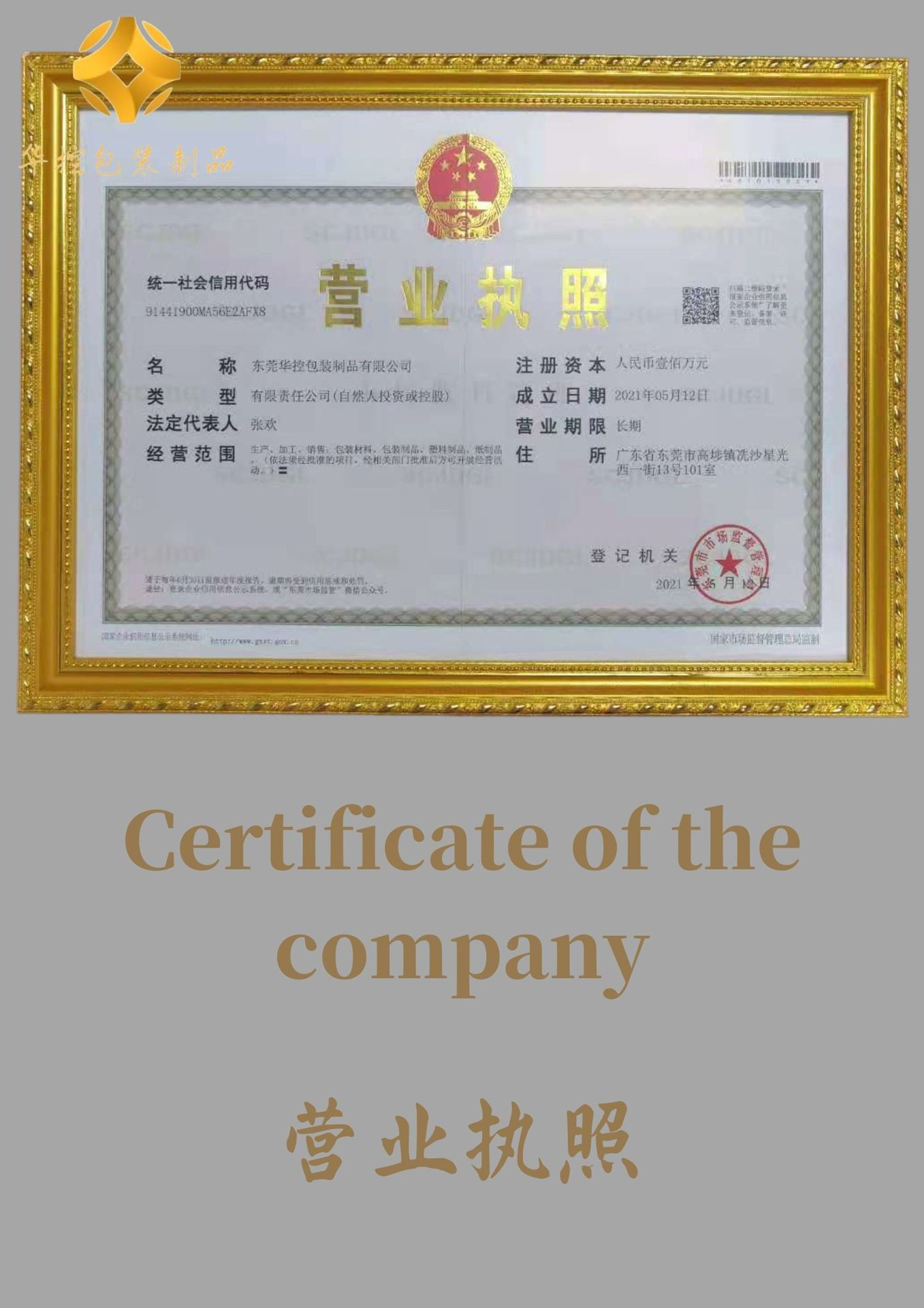 Dongguan HuaKongPackaging Material Co., Ltd. company overview - view 1