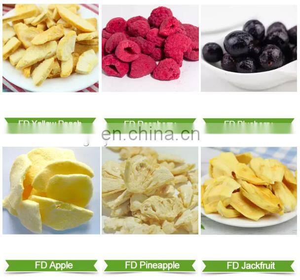 High capacity 100m2 vegetable /flower lyophilizer