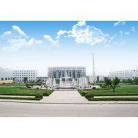 China Shandong Kaitai Metal Abrasive Co.,LTD. company overview - view 1