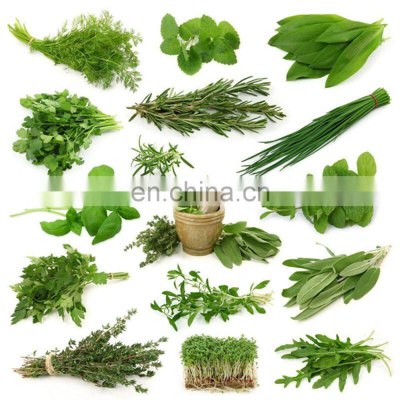 Shanghai Genyond Ultrasonic Extraction equipment
