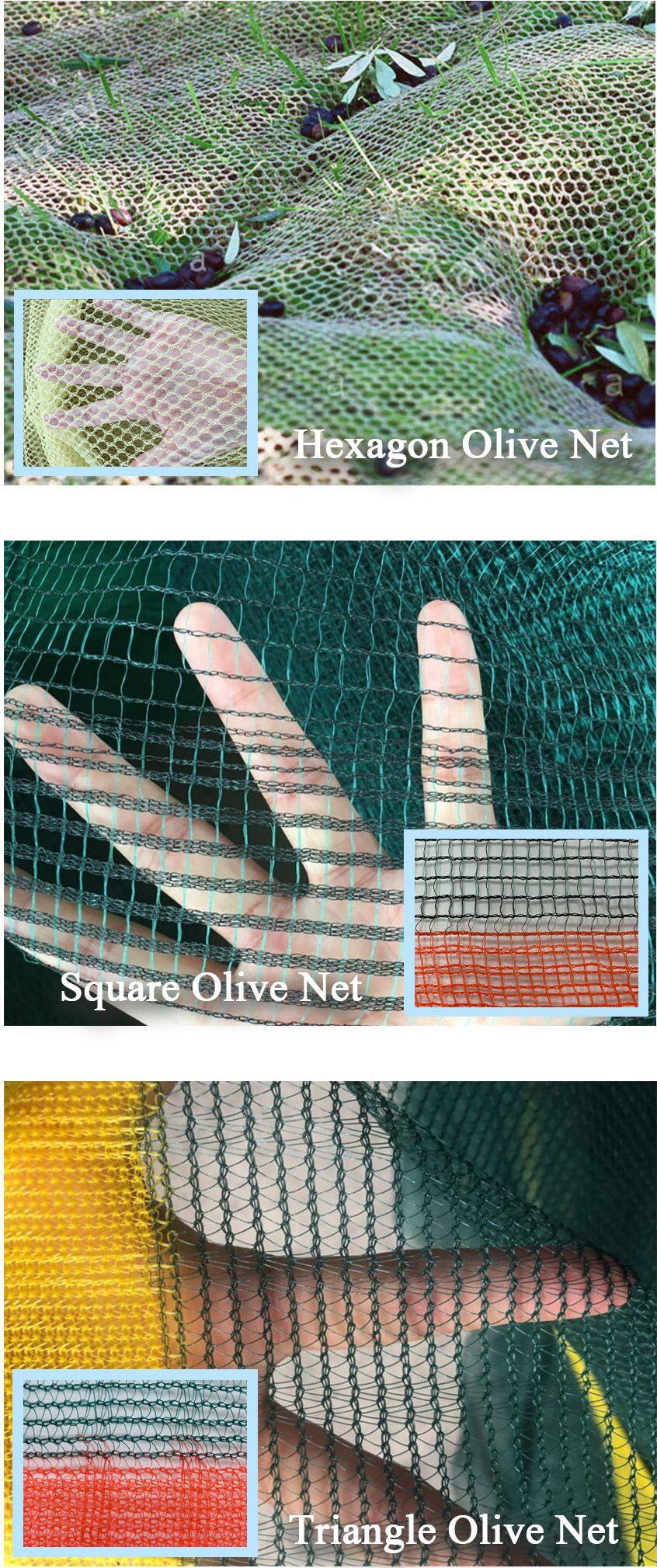 types of olive nets.jpg
