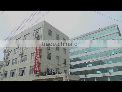 Wenzhou Aoelec Electrical Co., Ltd. company overview - view 1